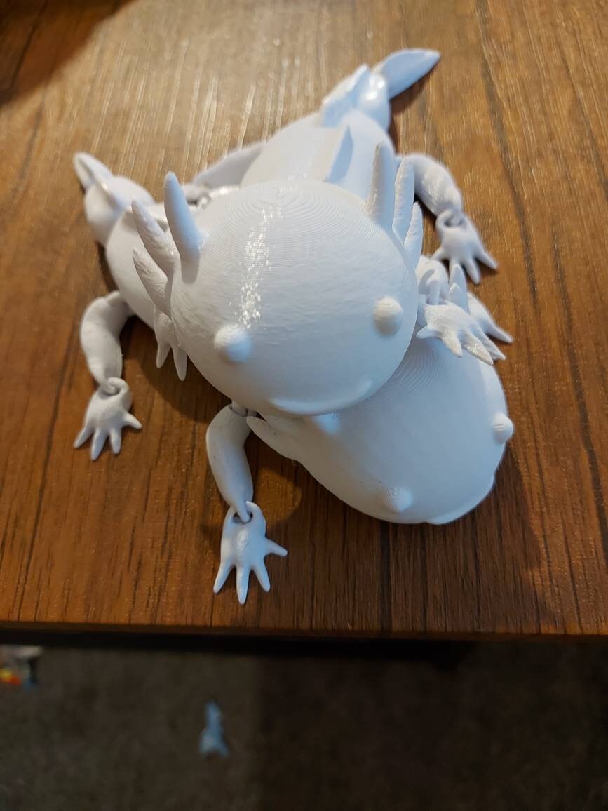 Articulating Axolotl Fidget Toy and Key Ring. Etsy UK