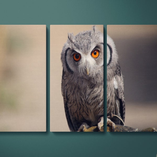 Owl Canvas Wall Art Etsy