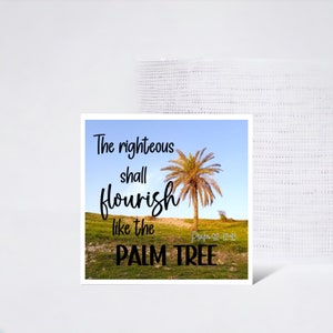 May include: A motivational quote about righteousness flourishing like a palm tree, with a photo of a palm tree in a desert landscape. The quote reads "The righteous shall flourish like the palm tree. Psalm 92:12-13"