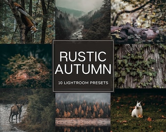 Rustikales Herbst Lightroom Preset-Paket (Desktop + Mobile)