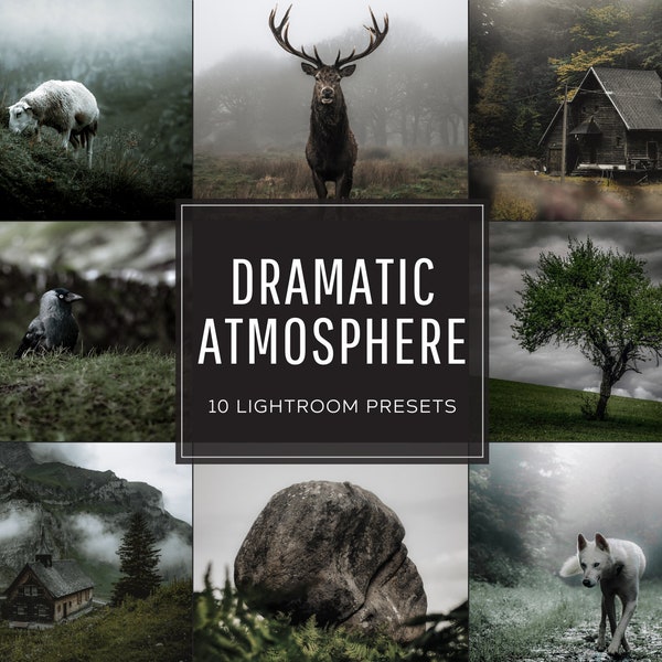 Dramatic Atmosphere Lightroom Preset Pack (Desktop + Mobile)