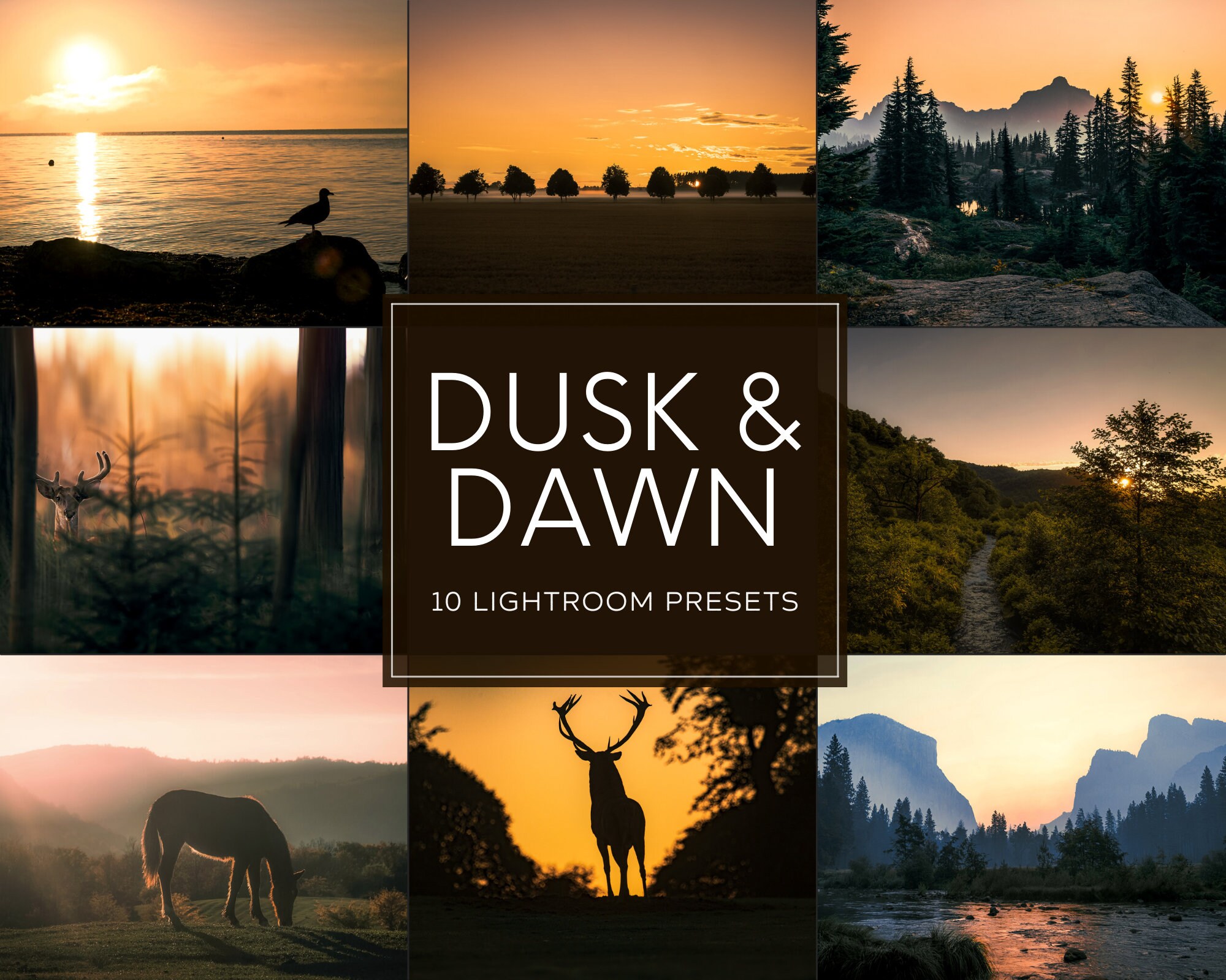 Dusk & Dawn Lightroom Preset Paket (Desktop + Mobile)