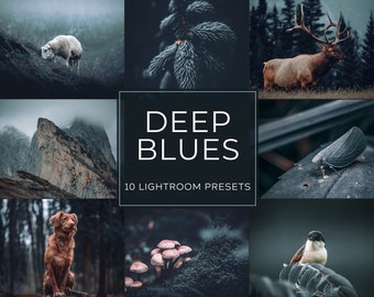 Deep Blues Lightroom Preset Pack (Desktop + Mobile)