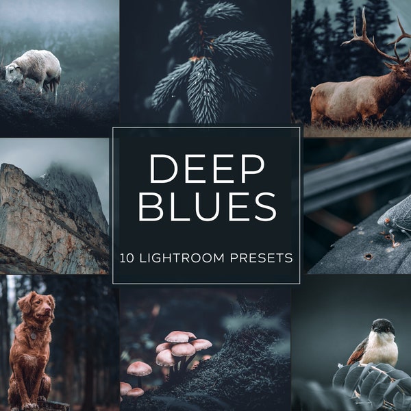 Deep Blues Lightroom Preset Pack (Desktop + Mobile)