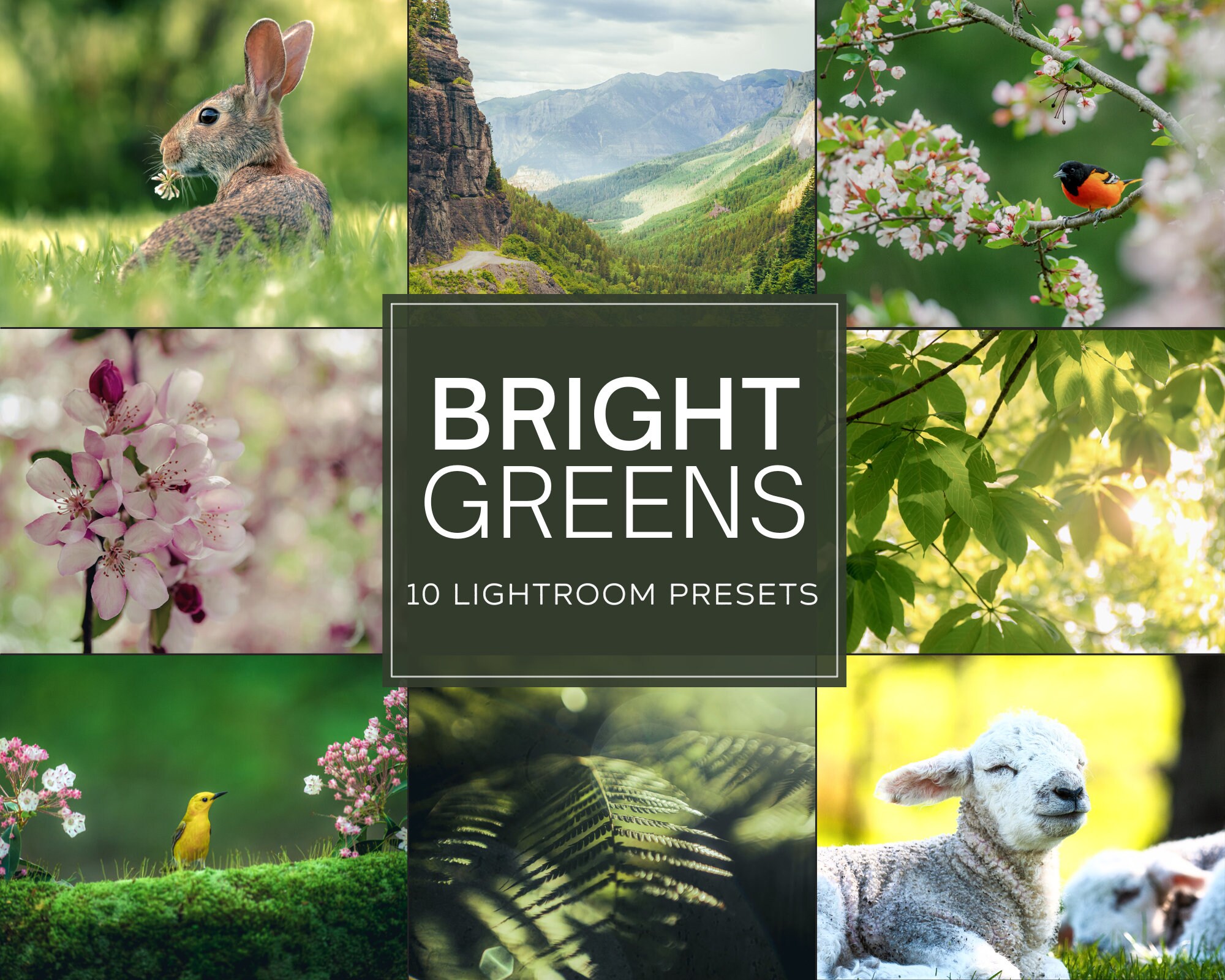 Bright Greens Lightroom Preset Pack (Desktop + Mobile)