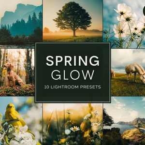 Spring Glow LIMITED Lightroom Preset Pack (Desktop + Mobile)