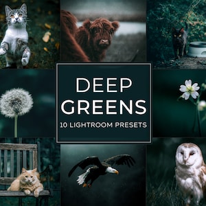 Deep Greens Lightroom Preset Pack (Desktop + Mobile)