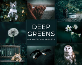 Tiefgrüns Lightroom Preset Paket (Desktop + Mobile)