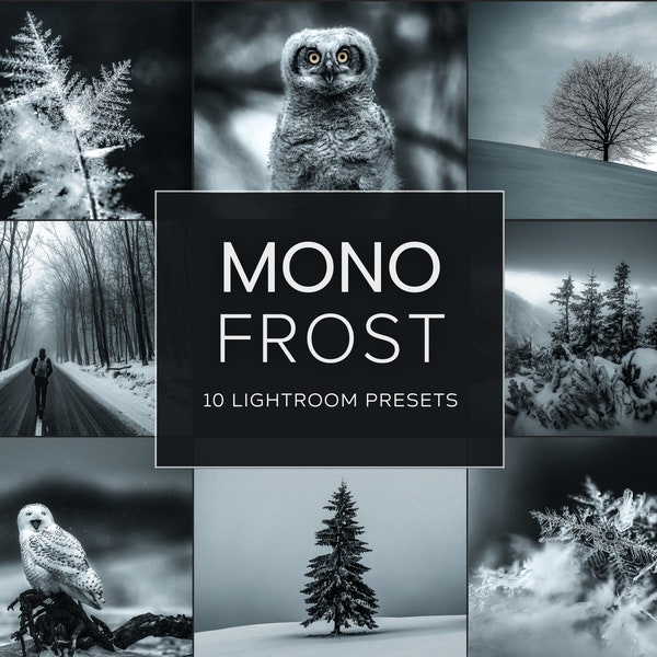 Mono Frost LIMITED Lightroom Preset Pack (Desktop + Mobile)