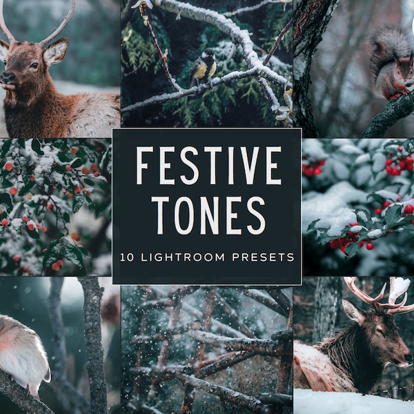 Festive Tones Lightroom Preset Pack (Desktop + Mobile)