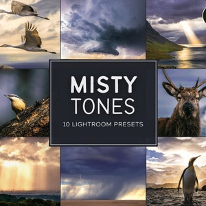 Misty Tones LIMITED Lightroom Preset Pack (Desktop + Mobile)