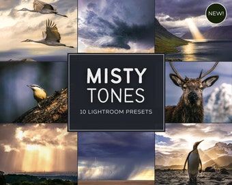 Misty Tones LIMITED Lightroom Preset Pack (Desktop + Mobile)