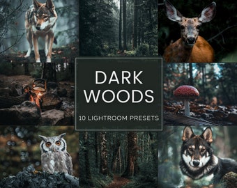 Dark Woods Lightroom Preset-Paket (Desktop + Mobile)