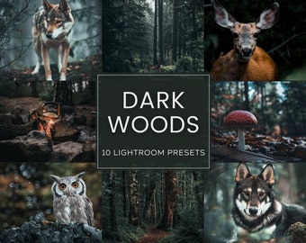 Dark Woods Lightroom Preset Pack (Desktop + Mobile)