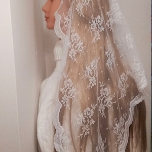 May include: White lace veil with floral pattern. The veil is sheer and has a scalloped edge.