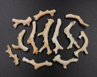 Japanese White Coral Branch Stick Natural Loose Gemstones For Jewelry Making
