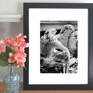 Beach Log Print Black & White Photo Beach Log Wall Art Gift Print