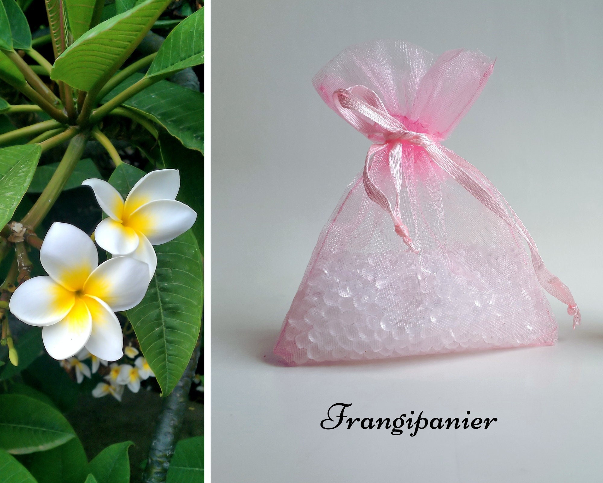 Sachet de Perles Aromatiques, Assainisseur d'air, Garde-Robe, Sachet Parfumé, Parfum d'intérieur