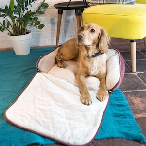 Dog bed built in blanket top