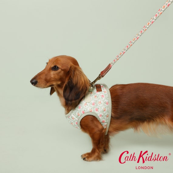 Cath kidston provence rose 2025 dog collar