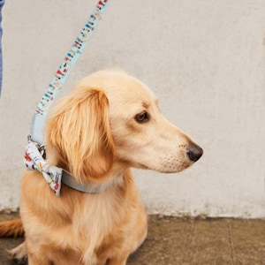 Dog Collar Lead Luxury Cath Kidston London Patterned Dog Lead