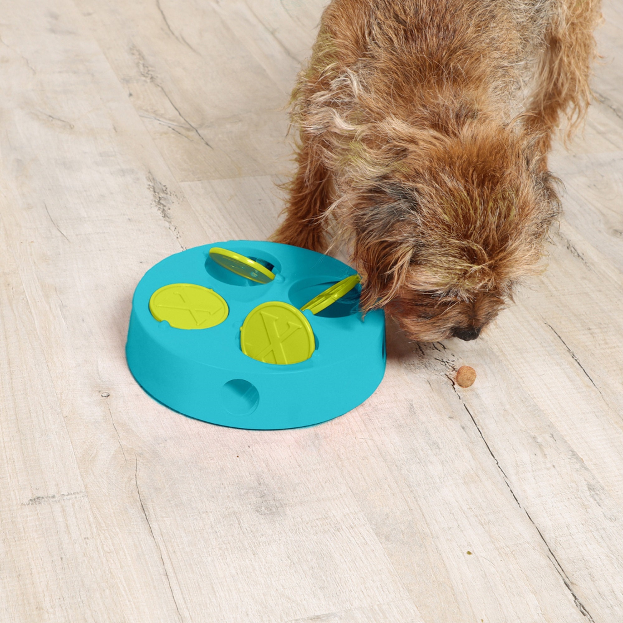 5 in 1 Multi-Function IQ Training Pet Smart Feeding Brain Stimulation Treat  Boredom Dispensing Slow Feeder Ball Bowl Dog Puzzle Toy Enrichment Anxiety