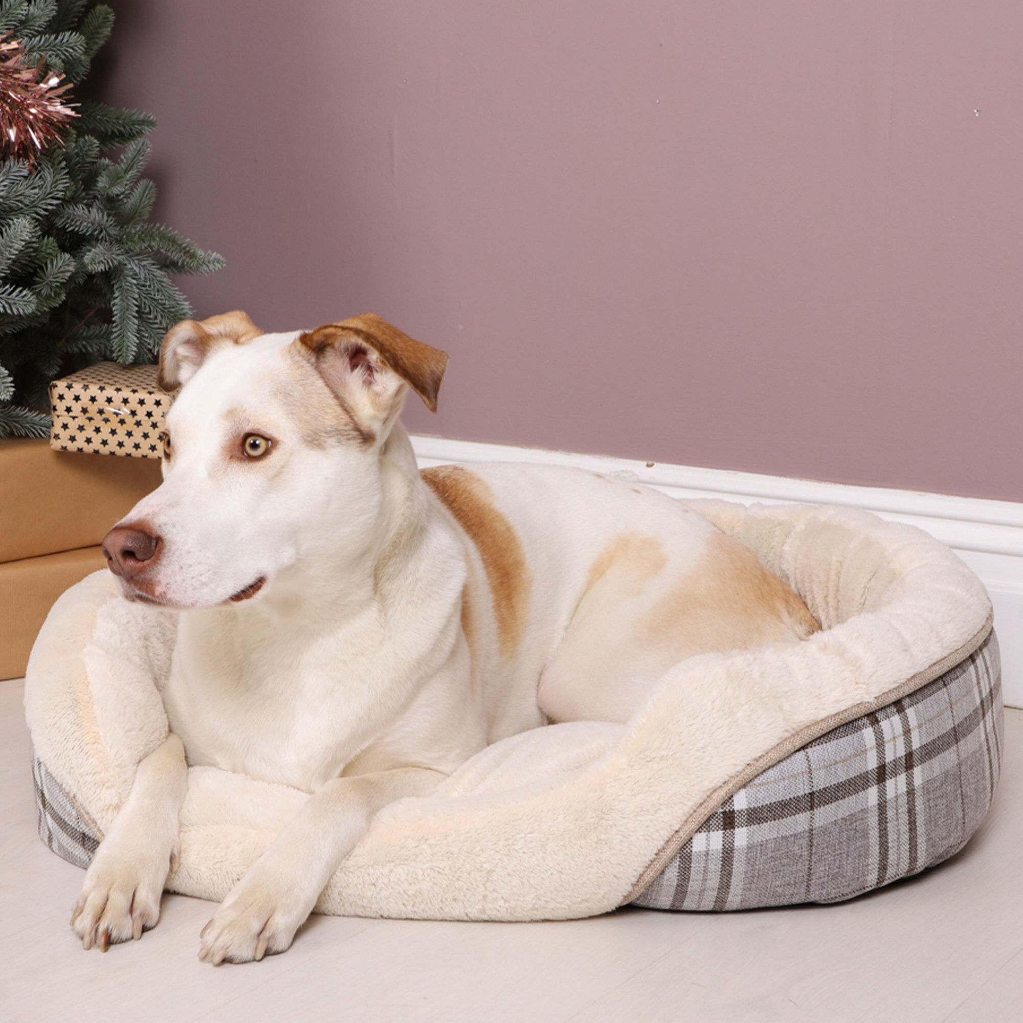 Tweedy Soothing Dog Bed Donut Bed Small Medium Large Warm Etsy UK