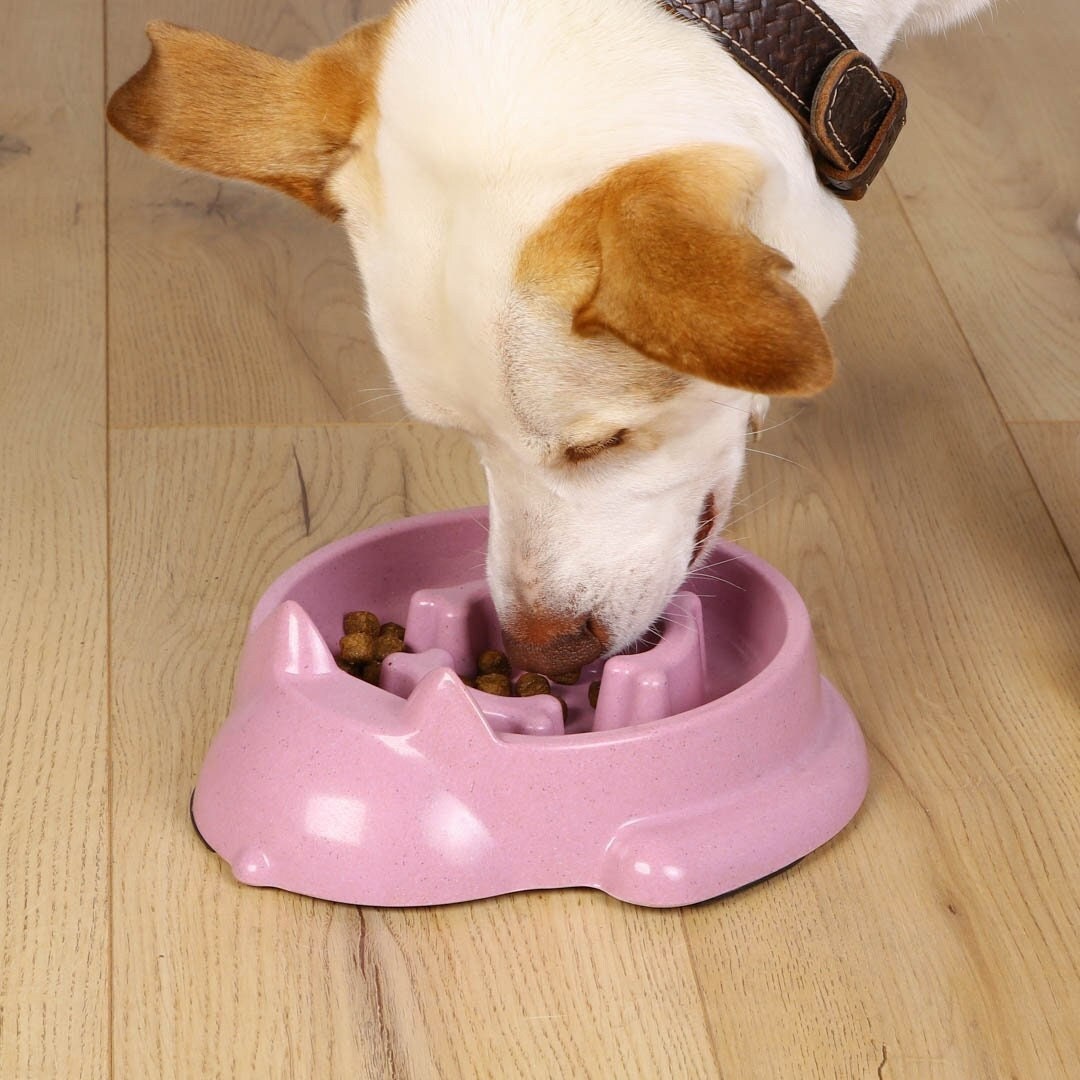 Puzzle Feeder Slow Feeder Dog Bowl, Dog Bowl for Dry, Wet, and Raw