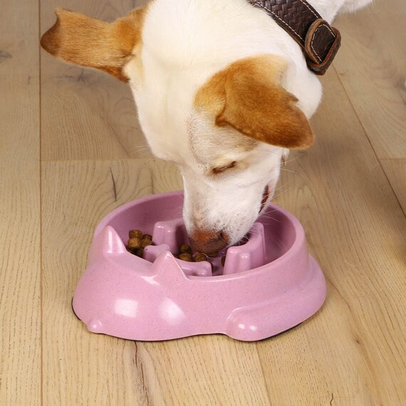 Puzzle Feeder Dog Bowl, Slow Feeder Dog Bowls for Dogs, Dog Bowl Slow  Feeder for Dry, Wet, and Raw Food, Dog Puzzle Dog Food Bowls for Large  Dogs,Pink