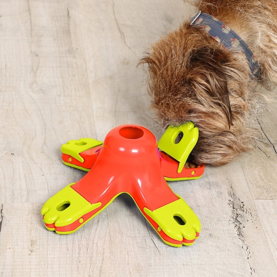 The 15 Best Dog Puzzle Toys to Beat Boredom