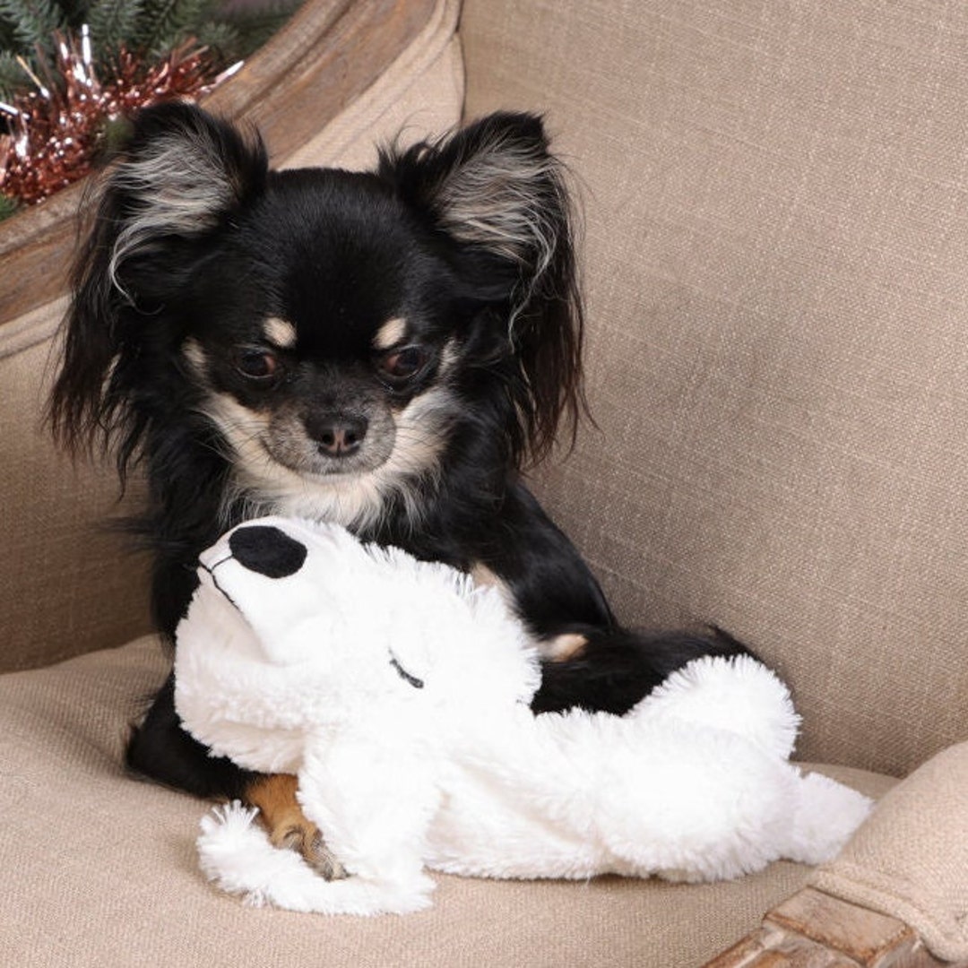 Anti Anxiety Calming Dog Toy Pablo Soft Plush Toy for Dogs Etsy UK