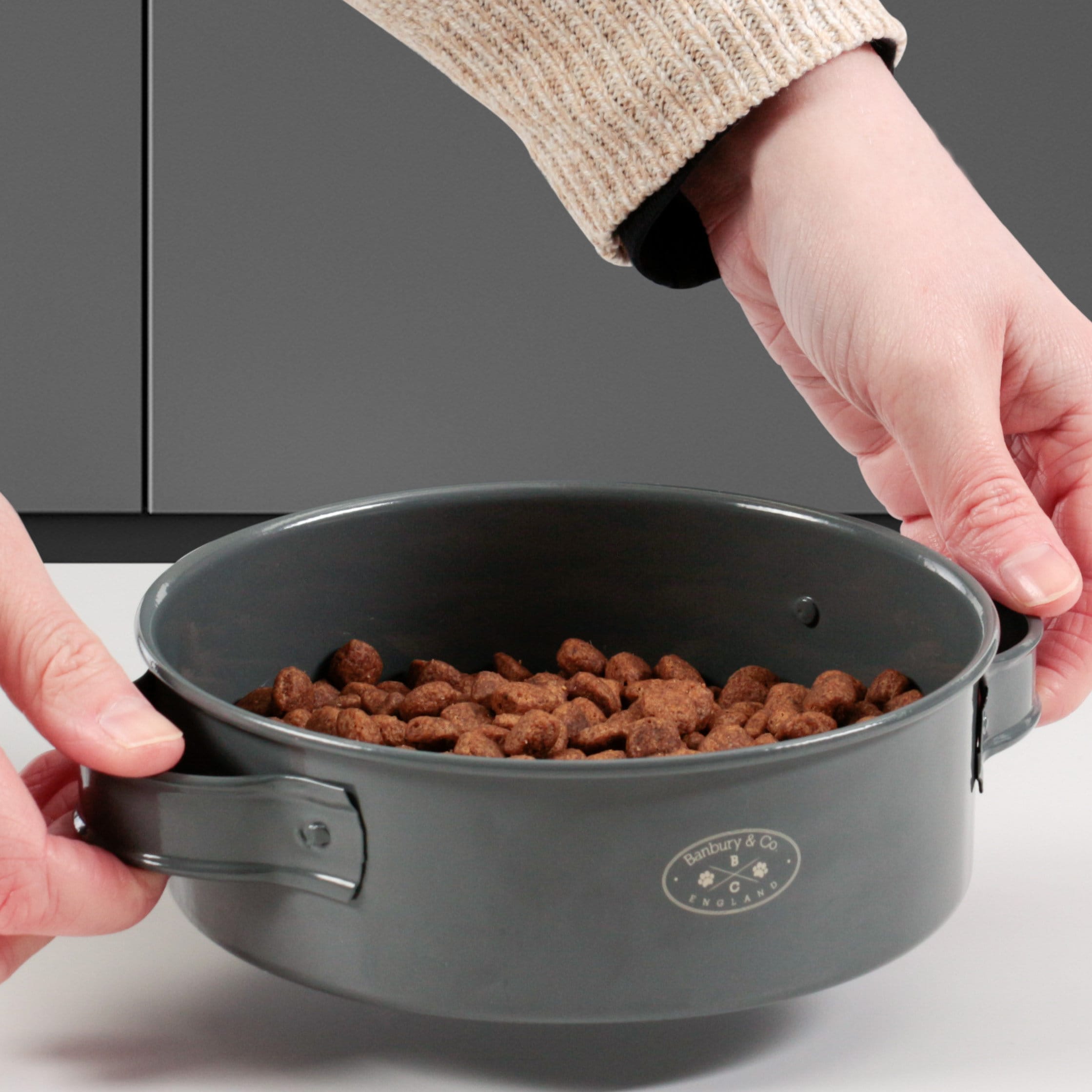 Grey dog cheap food container