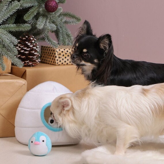 Winter boredom busters for dogs