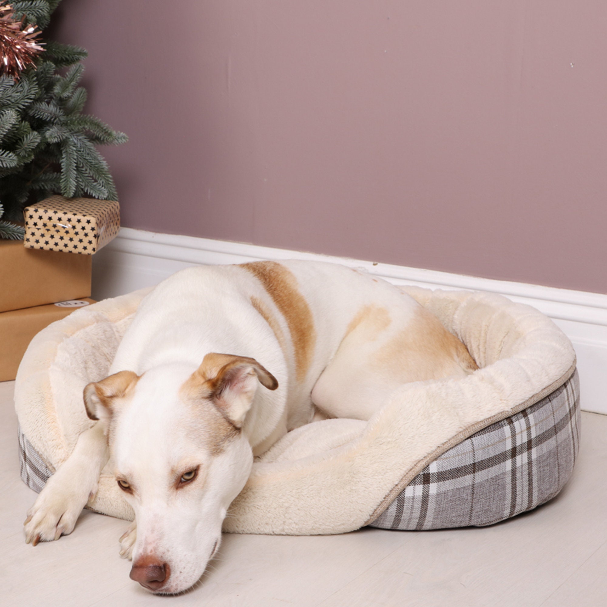 Tweedy Soothing Dog Bed Donut Bed Small Medium Large Warm Etsy UK