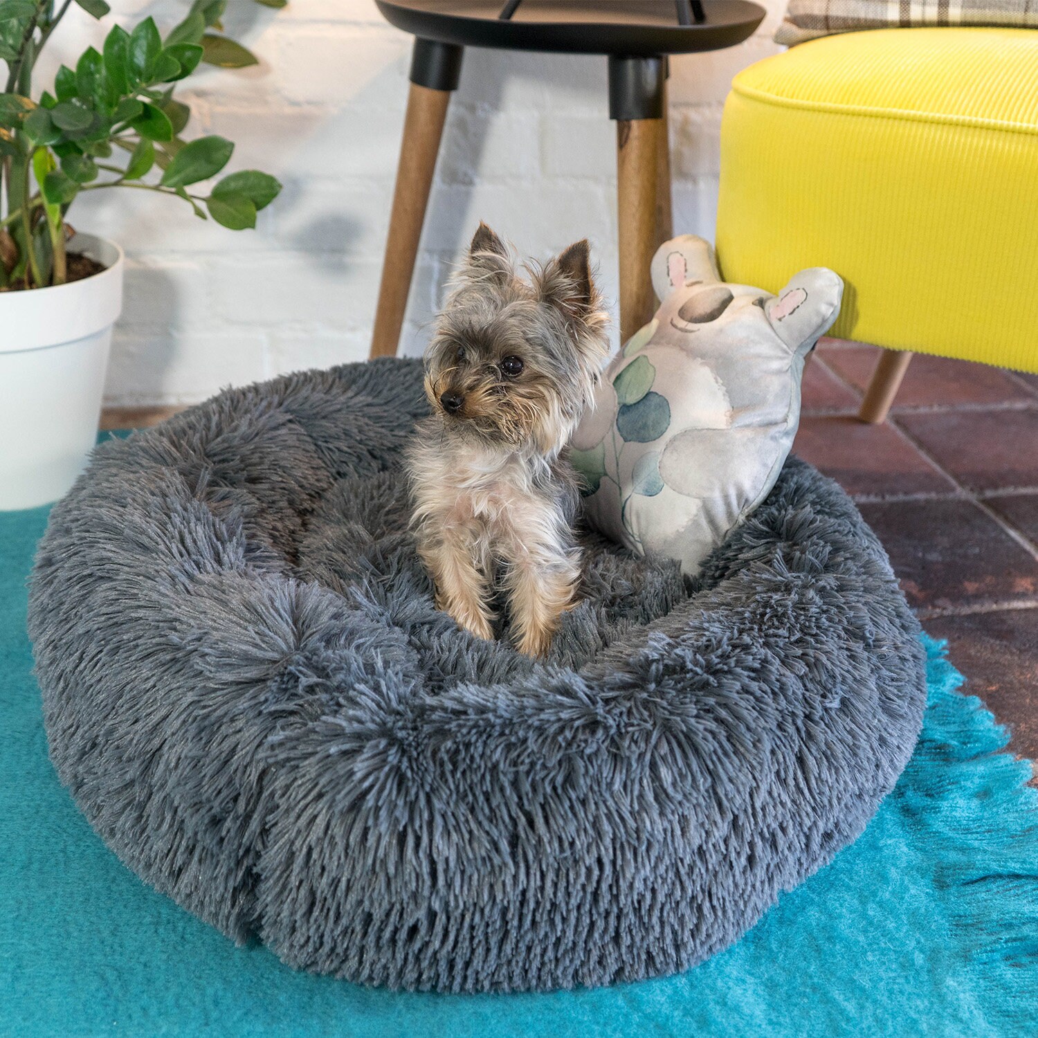 Pet Donut Beds for Cat and Small Dog Deep Filled Fluffy Etsy UK
