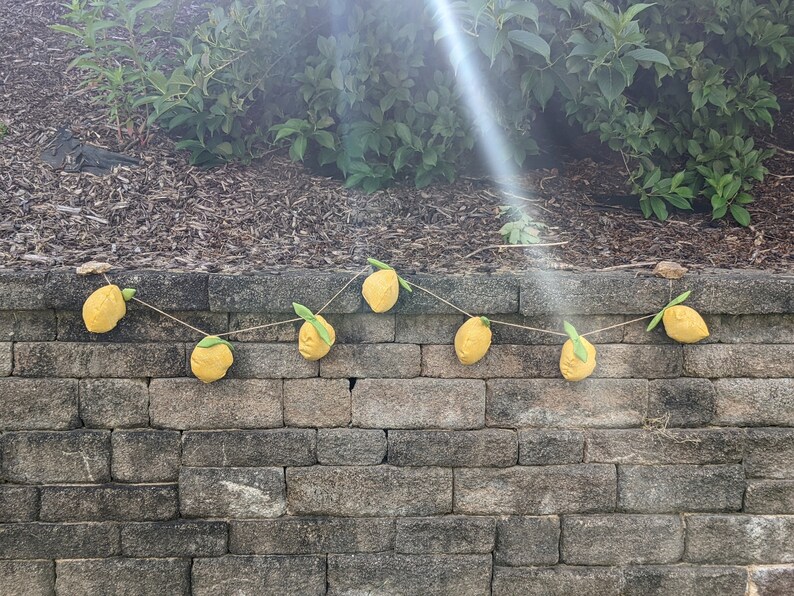 Outdoor Cottagecore Large Amalfi LEMONS Porch Patio Garden Etsy