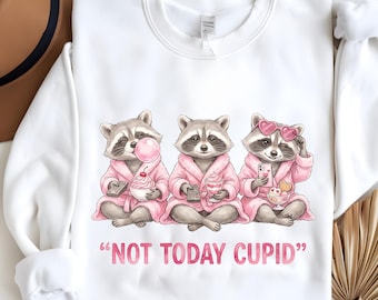 Not Today Cupid PNG, Snarky Raccoon Valentine's Day png, Sarcastic Valentines Day png, Sassy Humor Vday png, Sublimation, Digital Design