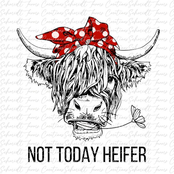 Not Today Heifer, PNG, Digital Download, Heifer, Cow, Highlander Flower