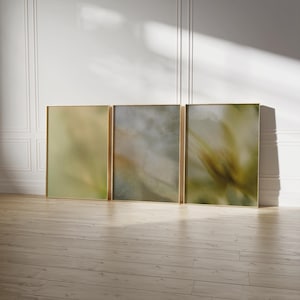 Può includere: Un set di tre stampe artistiche rettangolari con sottili cornici dorate. Ogni stampa presenta una composizione astratta e sfocata con toni tenui e sfumati di verde oliva, giallo tenue e grigio, creando un effetto visivo fluido e coerente.