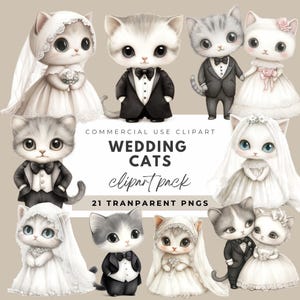 Hochzeit Katzen Clipart Süße Katze Braut und Bräutigam PNG Katzenliebhaber Hochzeit Kunst Just Meowied Katze Bachelorette Brautparty Clipart Katzenliebhaber Geschenk