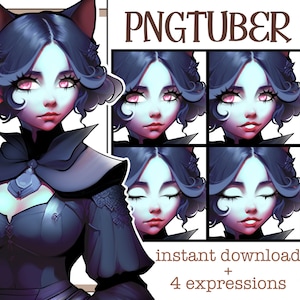 Kitty Goth Girl PNGtuber | Goth & Dark | Fantasy Theme | Streaming Avatar | Twitch | Discord | Youtube | Ready to Use