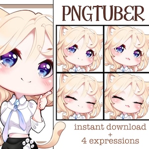 Chibi Cat Ears PNGtuber | Chibi | Cheveux blonds | Streaming Avatar | Twitch | Discord | Youtube | TikTok | Mignon | Prêt à l’emploi