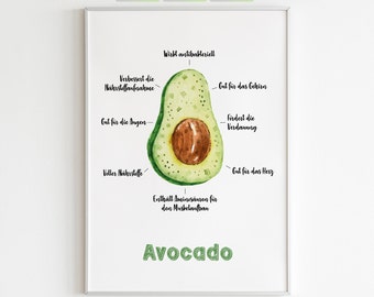 Küchen Bild Geschenkidee | Avocado Fakten Poster