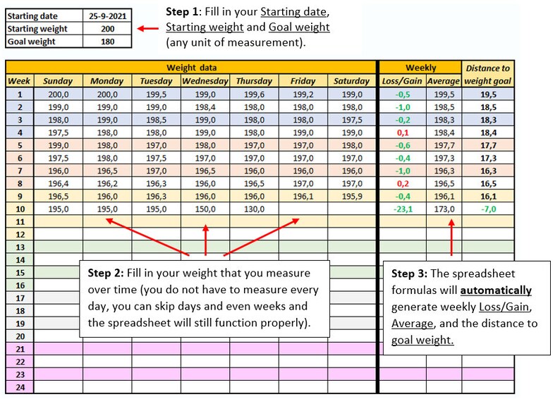 2024 Weight Loss Tracker / Journal Excel Spreadsheet W/ Automated Data ...