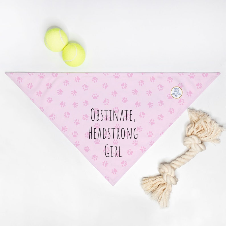 Jane Austen Pet Bandana Obstinate Headstrong Girl Cute Pride and