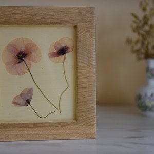 Dried Poppy Oak Frame Herbarium Flowers Resin Wildflowers Home Decor Wildflowers Gift Anniversary FriendshipBirthday Unique Handmade