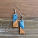 see more listings in the Wood & Resin Earrings section