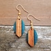 see more listings in the Wood & Resin Earrings section