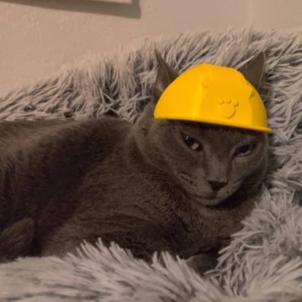 Hard Hat for Cats, Gift for Cat Owners, Gift for Cat Lovers, Cat Accessories, Cat Gifts, Cat Clothes, Cat Costume, Cat Owner