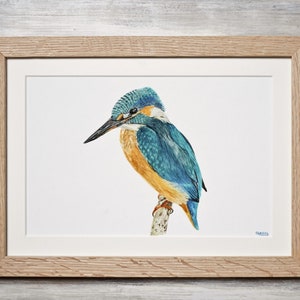 Wallart Kingfisher Bird Watercolour Art Print Countryside Home Decor Bird Lover Gift (A4/A5 size available)